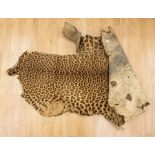 Early 20th Century leopard skin rug/floor covering