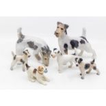 Collection of six wired hair fox terriers, all Danish (Royal Copenhagen) (Bing and Grandahl and Dahl