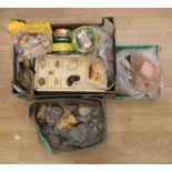 Collection of rocks, crystals, sand fossils, shells and minerals