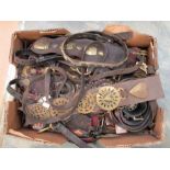 An extensive collection of 19th & 20th Century vintage harness straps with brass applied
