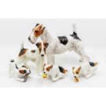 Collection of 1930's Royal Doulton fox terriers  one dog with ball is AF