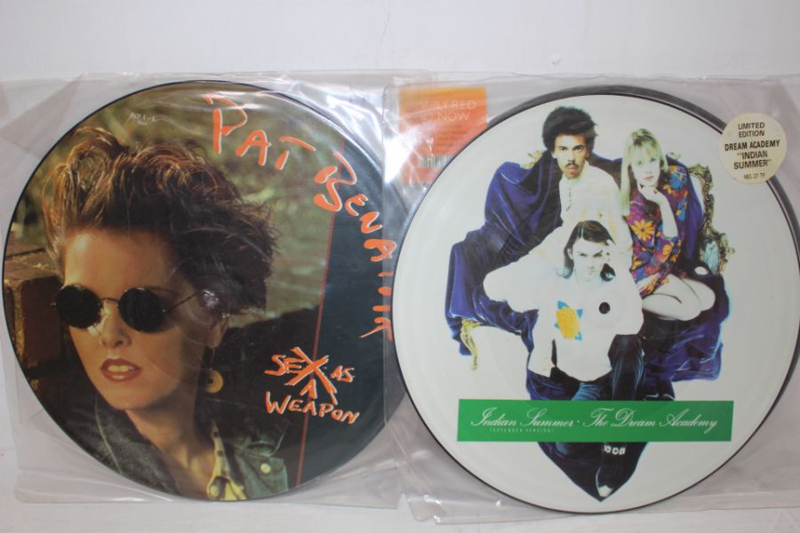 A Collection Of 12" Picture Discs LP's + Singles - Image 3 of 9