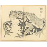 An unusual Japanese Edo period woodblock study of a Toad (蟾蜍-ヒキガエル)