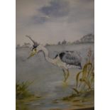 A watercolour of a heron, early to mid 20th Century, by AE Wakefield, framed, 22 x 29cms approx