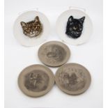 Poole Pottery: 5 Poole Pottery decorative pin dishes depicting animals. Diameter of largest approx