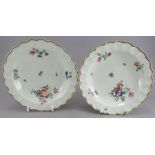 A pair of late eighteenth century porcelain Worcester hand-painted flower plates 182 with gilded