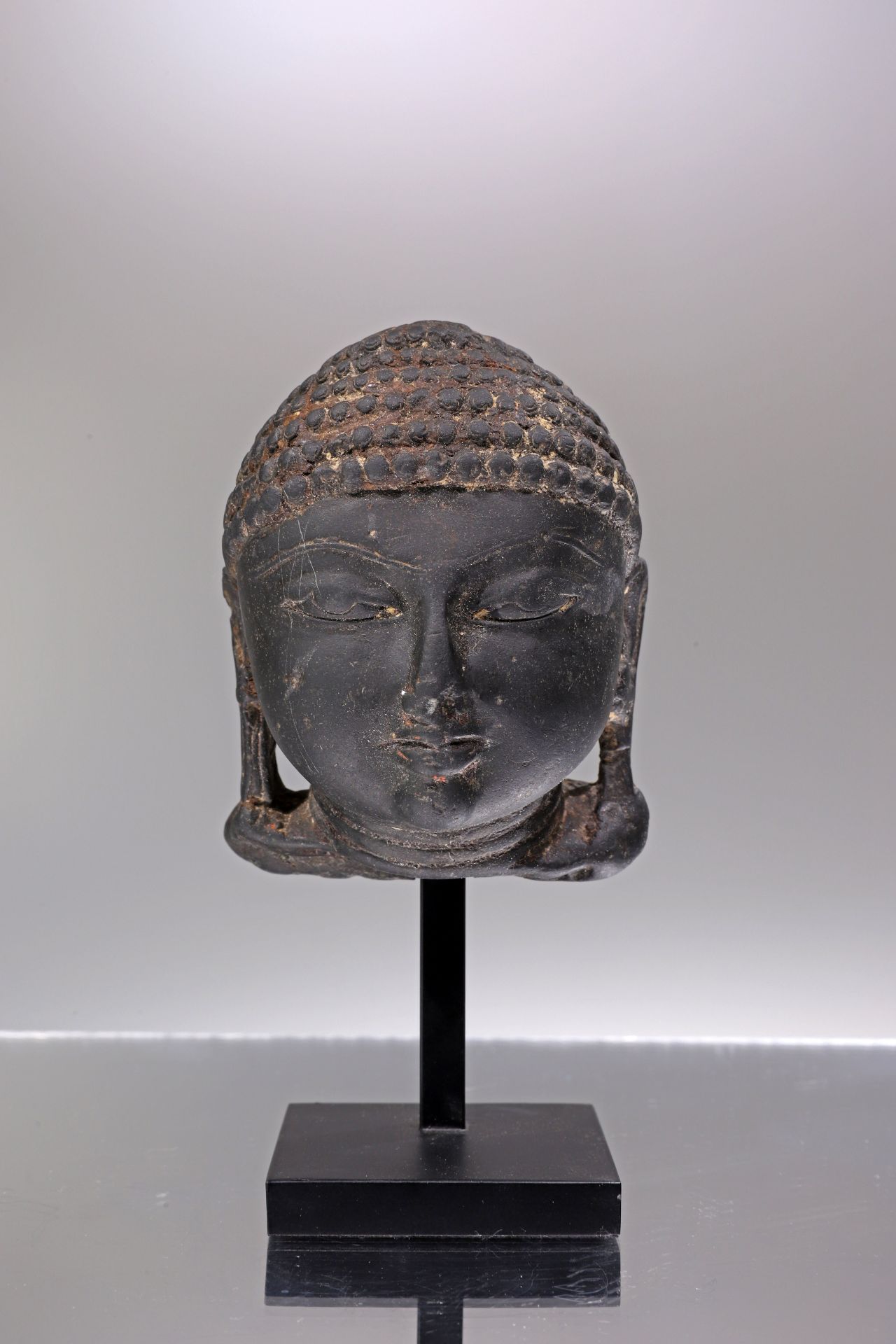 HEAD OF A JAIN