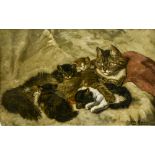 Cat with her four kittens BELGIAN SCHOOL, LATE 19TH-EARLY 20TH CENTURY oil on panel, signed