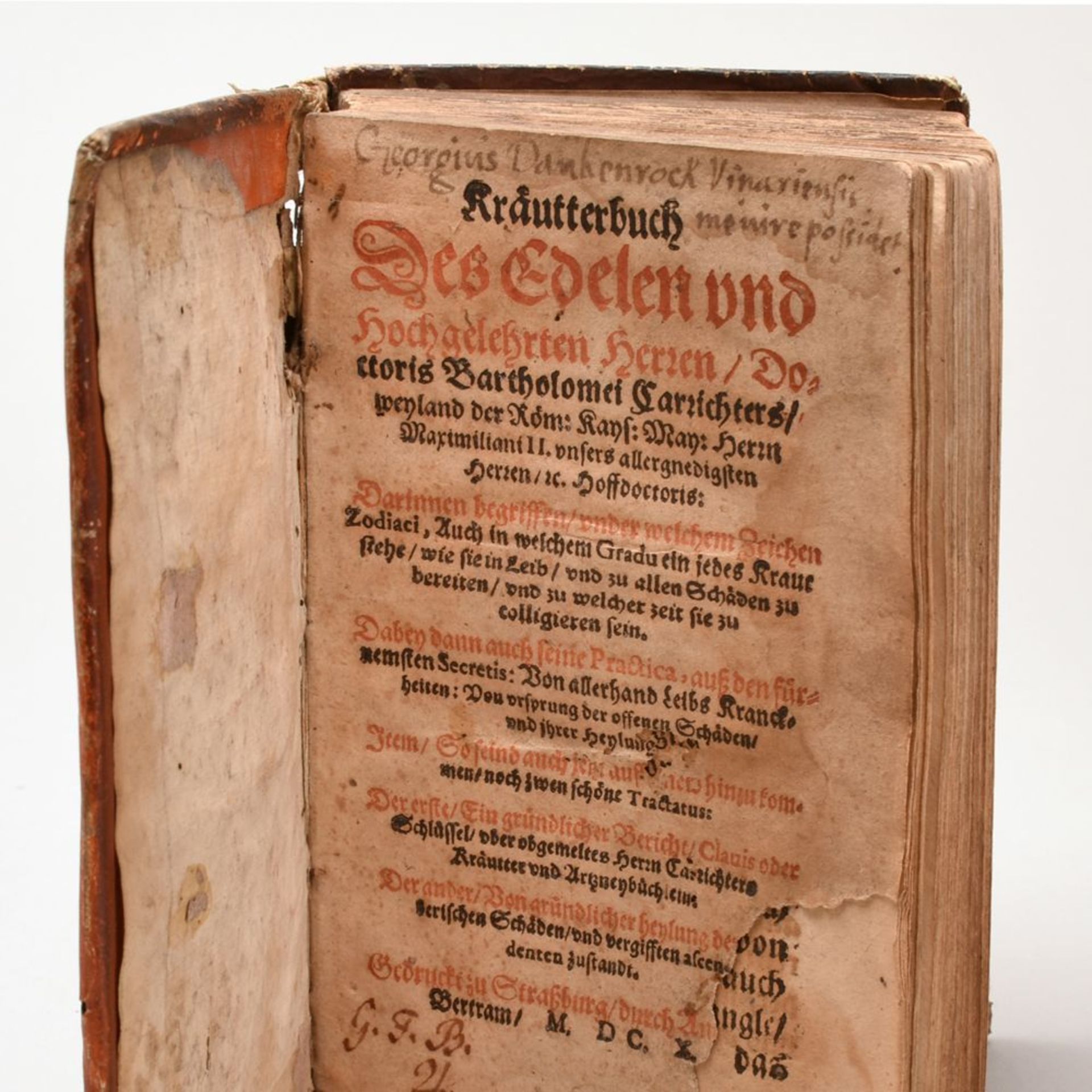 Das Kräuterbuch des Bartholomäus Carrichter - 1600