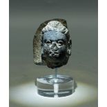 Gandharan Head, Indus Valley - ca. 3rd - 4th C. AD