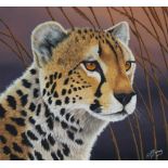 R.G. Finney (B. 1941) "Cheetah"