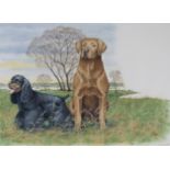 Peter Barrett (B. 1935) Cocker Spaniel & Retriever