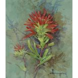 Gordon Beningfield (1936 - 1998) Indian Paintbrush