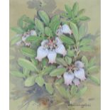 Gordon Beningfield (1936 - 1998) "Bearberry"