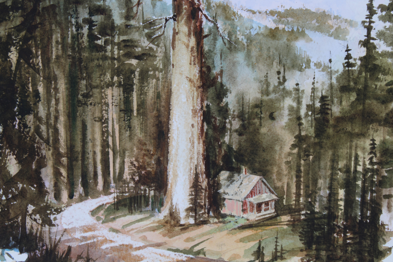 John Tayson (B. 1956) "Giant Sequoia Tree" - Image 3 of 5