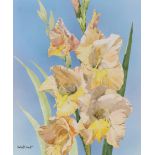 Skip Whitcomb (B. 1946) "Gladiola"