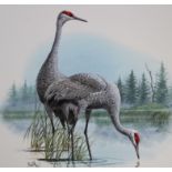 Don Balke (B. 1933) "Sandhill Crane"