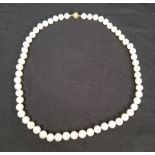 14K Gold 12mm South Sea Pearl Necklace