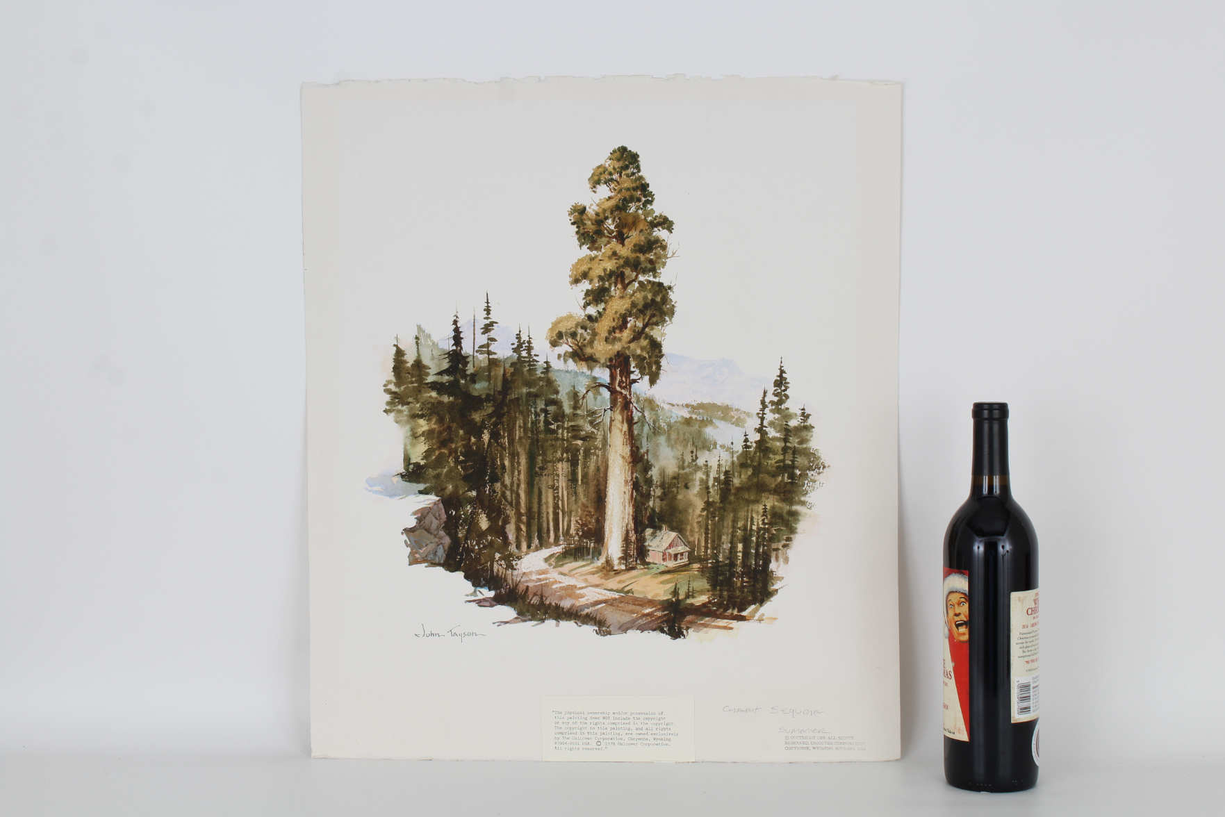 John Tayson (B. 1956) "Giant Sequoia Tree" - Image 2 of 5