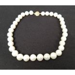 14K Gold 12mm South Sea Pearl Necklace