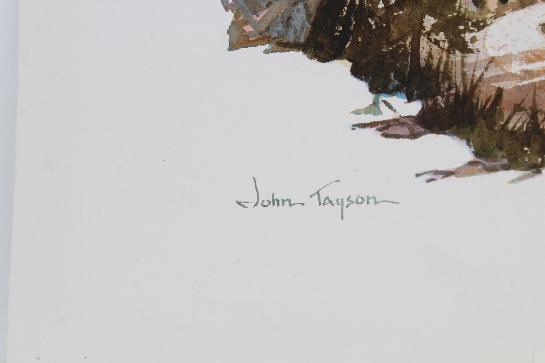John Tayson (B. 1956) "Giant Sequoia Tree" - Image 4 of 5