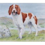 Peter Barrett (B. 1935) "Welsh Springer Spaniel"