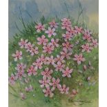 Gordon Beningfield (1936 - 1998) "Moss Campion"