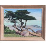 Signed, 20th C. Painting of a Monterey Cypress