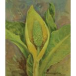 Gordon Beningfield (1936 - 1998) Skunk Cabbage