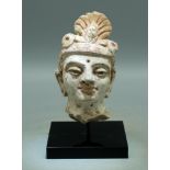 Gandharan Stucco Head - Indus Valley, 4th-5th C