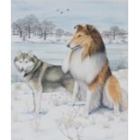 Peter Barrett (B. 1935) Alaskan Malamute & Collie