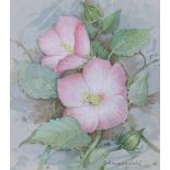 Gordon Beningfield (1936 - 1998) "Rose Mallow" W/C