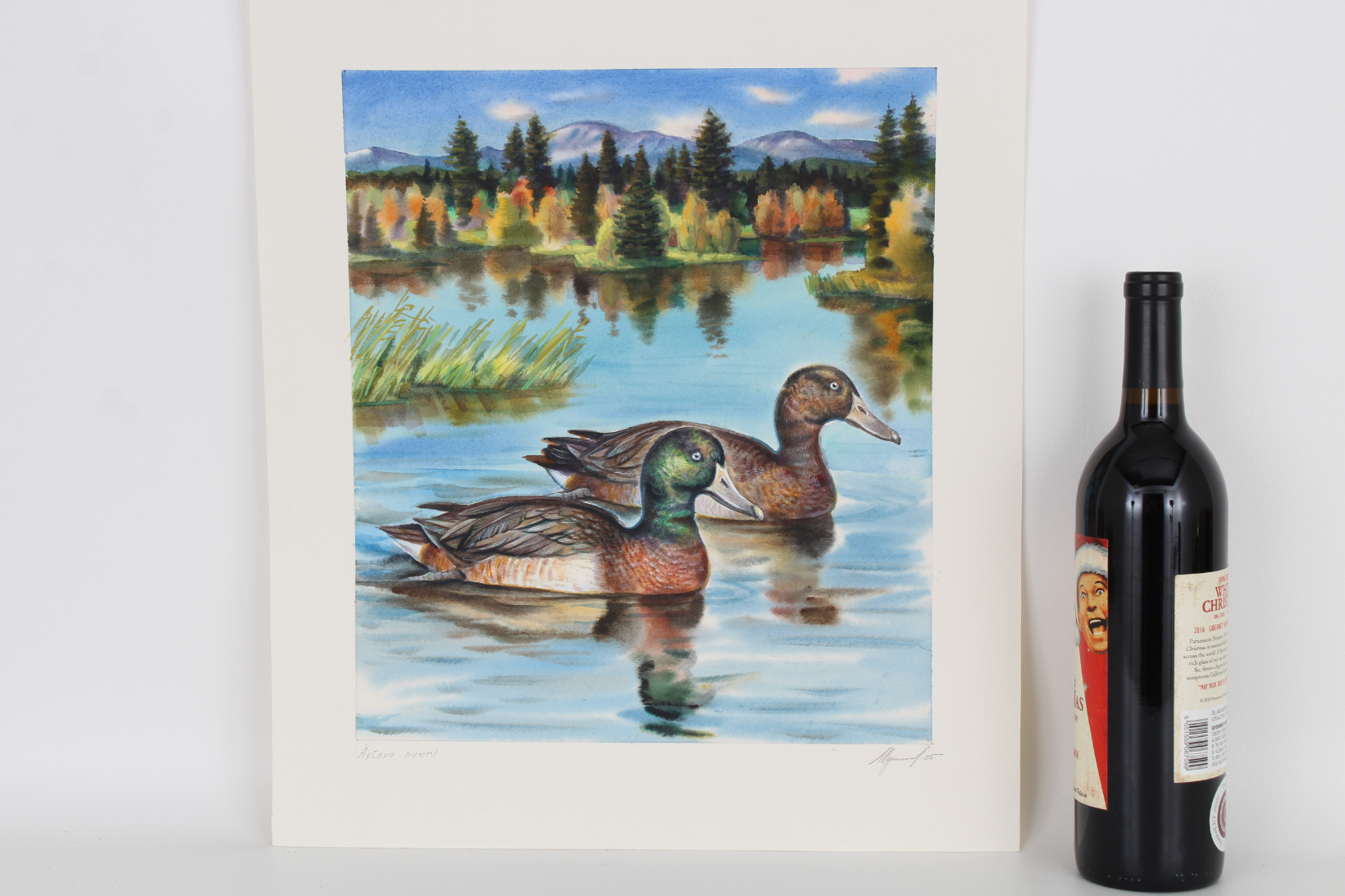 Ivan Kozlov (B. 1937) "Baer's Pochard" W/C - Image 2 of 4