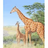 Chuck Ripper (B. 1929) "Two Giraffes"
