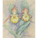 Gordon Beningfield (1936 - 1998) "Lady's Slipper"