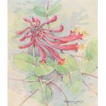 Gordon Beningfield (1936-1998) Trumpet Honeysuckle