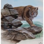 Don Balke (B. 1933) "Bobcat" Watercolor