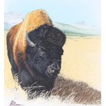 John Benson (B 1949) "Buffalo on Prairie" Original