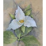 Gordon Beningfield (1936 - 1998) "Trillium" W/C