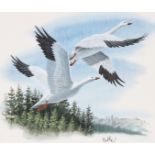 Don Balke (B. 1933) "Snow Goose" Original W/C