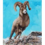 Chris Calle (B. 1961) "Bighorn Sheep" Original