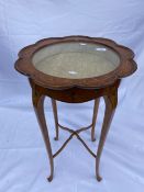 19th cent. Satinwood Vitrine, Bijouterie table, flower petal lid, circular stand on fine bowed and