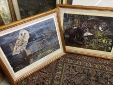 20th cent. Prints: Signed limited edition Dorothea Hyde. Barn Owl 703/850, Bee the Otter and Mr