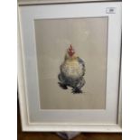 20th cent. English School: Pastel of a running chicken, indistinct signature bottom right, framed