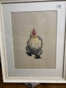 20th cent. English School: Pastel of a running chicken, indistinct signature bottom right, framed