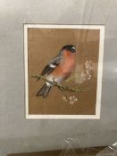 20th cent. Watercolours, oils and sketches, various subjects including pastel of a goldfinch, Pam