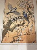 20th cent. Japanese ink and watercolours, one depicting a finch like bird preening while perched