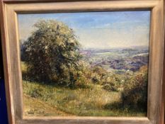 Allison: Oil on canvas, 'White May on the North Downs' landscape, signed bottom left, framed. 12ins.