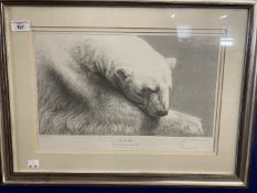 Wildlife Art: Gary Hodges signed limited edition works. The Snow Bear 609/850, 16ins. x 10½ins.