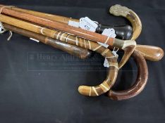 Walking sticks including a simulated shagreen stick. (7)